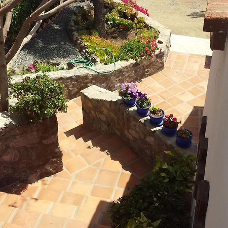 ホテルQuinta Los Arrayanes エンセナダ エクステリア 写真