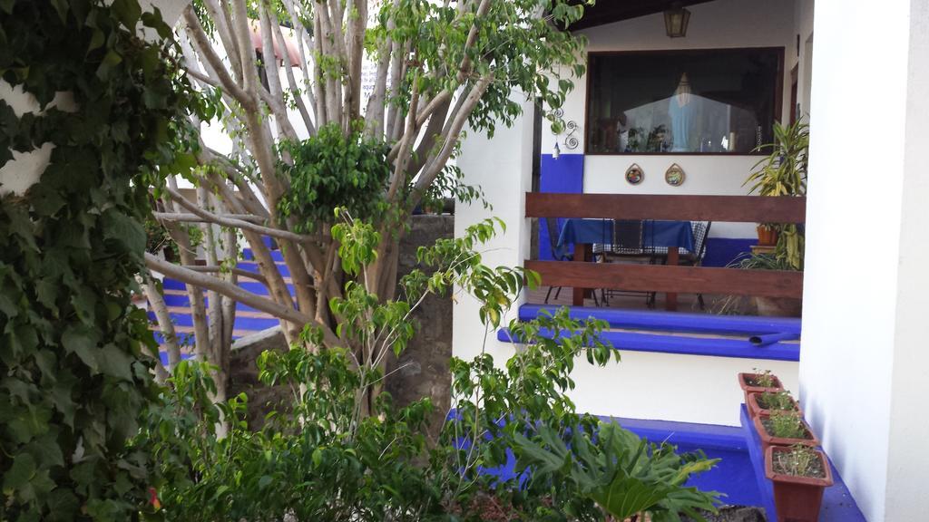 ホテルQuinta Los Arrayanes エンセナダ エクステリア 写真