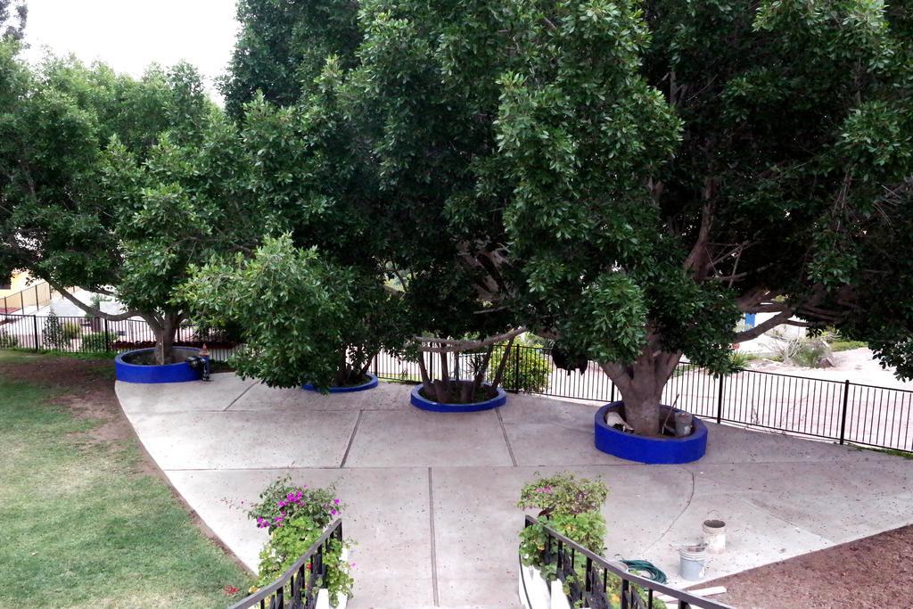 ホテルQuinta Los Arrayanes エンセナダ エクステリア 写真
