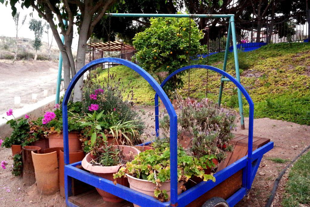 ホテルQuinta Los Arrayanes エンセナダ エクステリア 写真